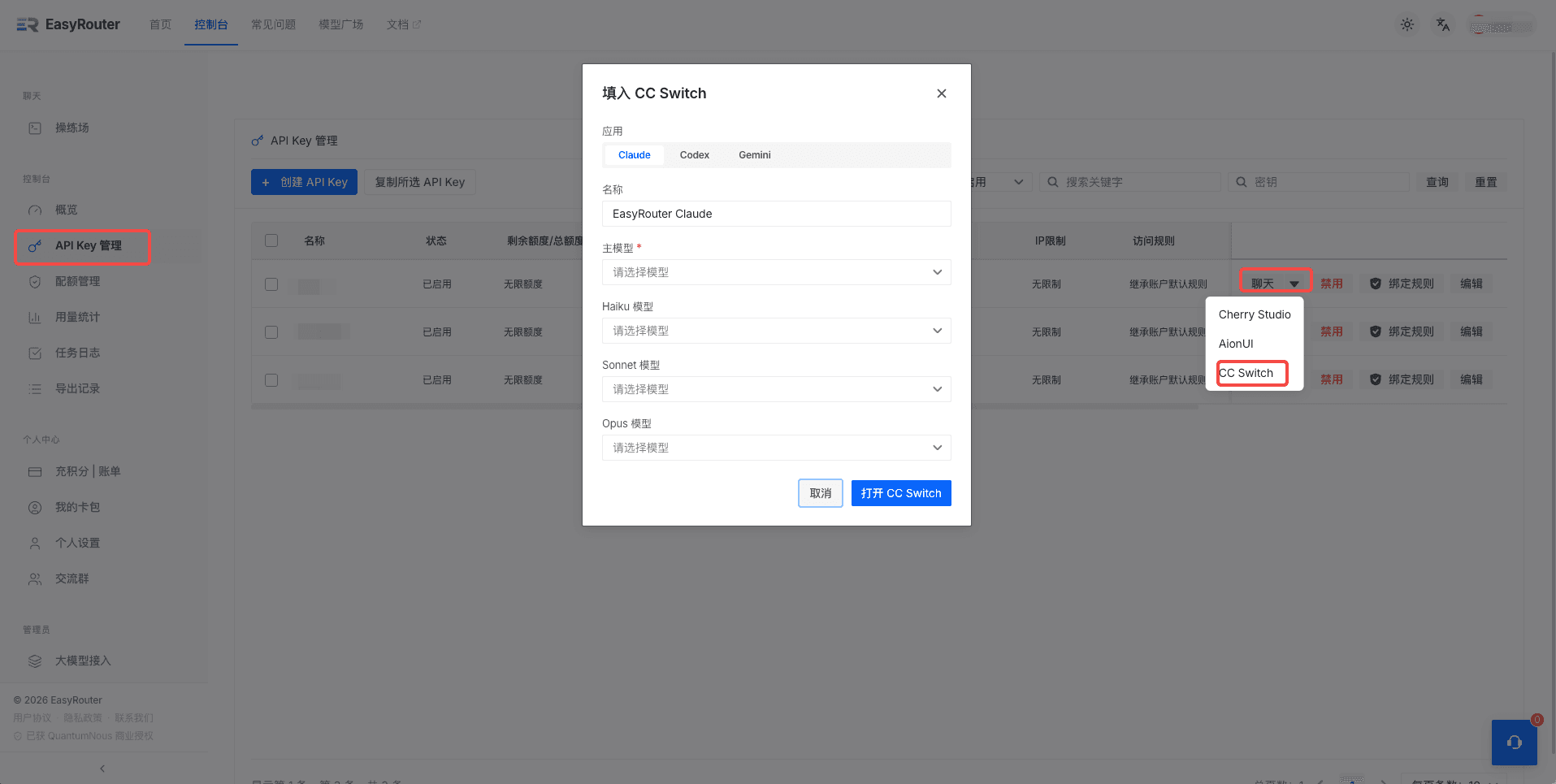 填入 CC Switch 弹窗