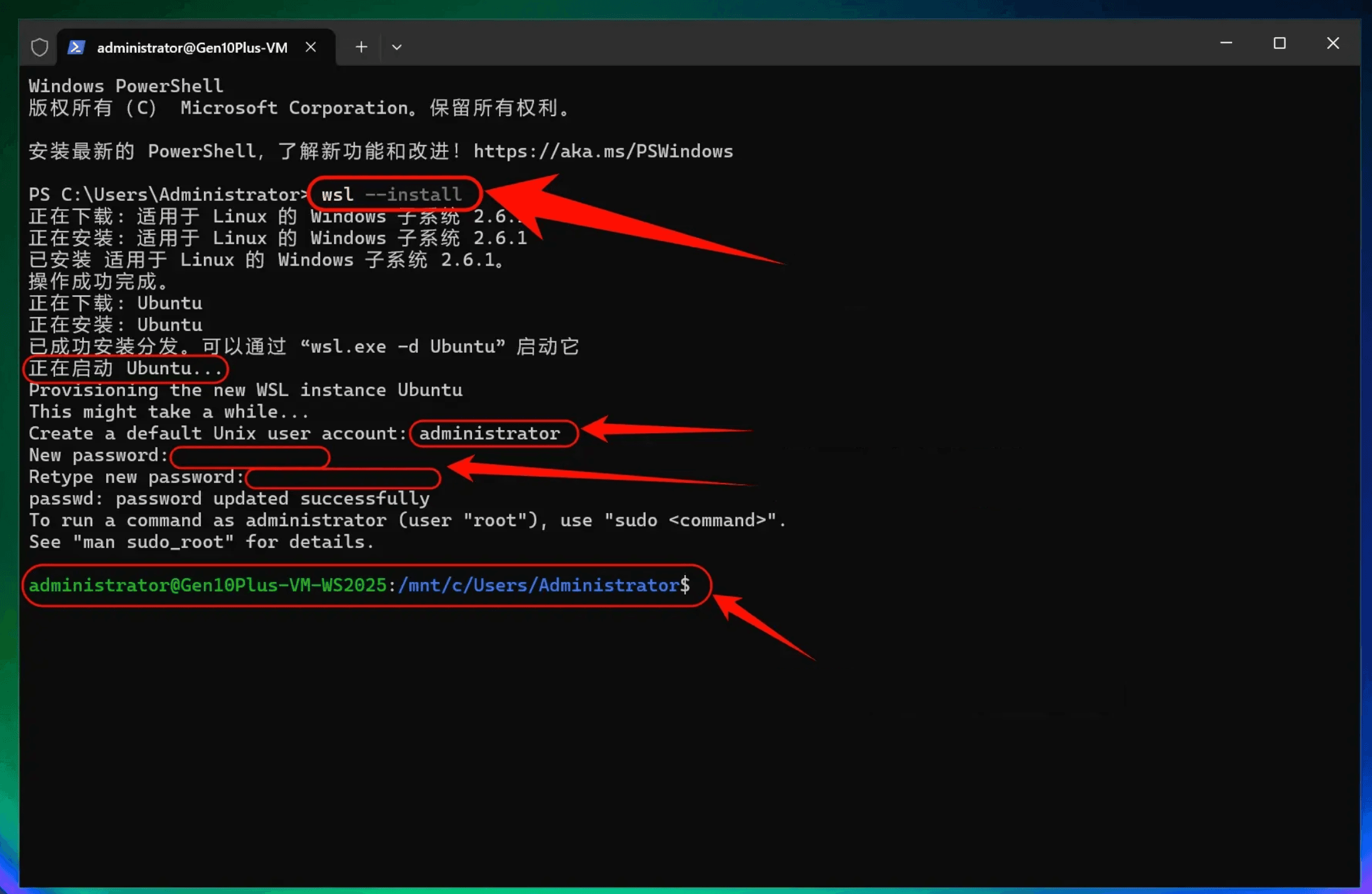 windows-img-03.webp